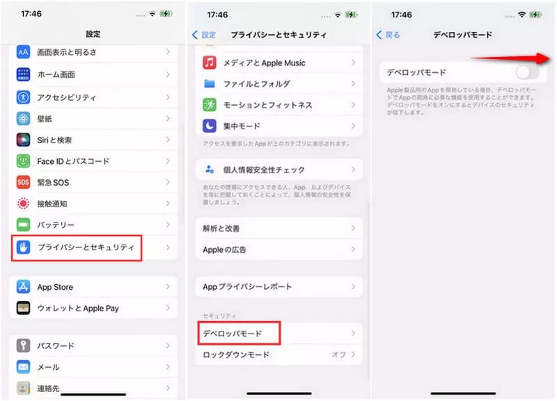 ios develper mode open 3