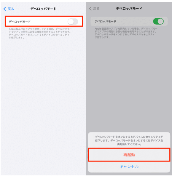 iphone developer mode open2