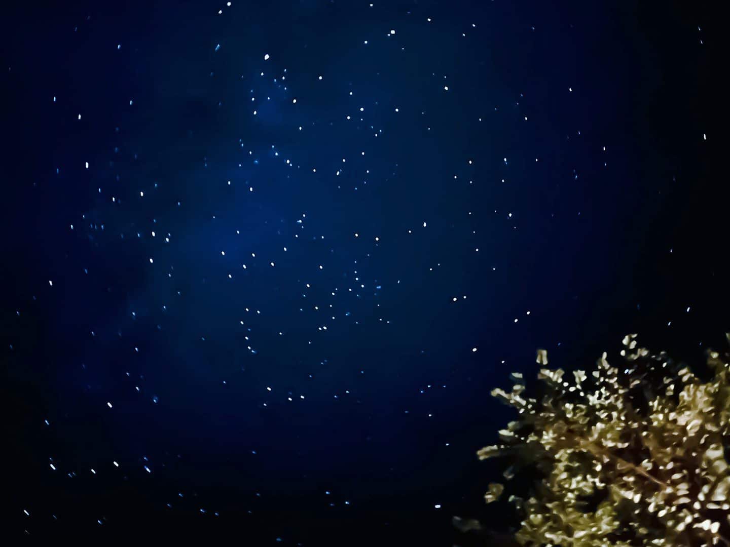 iphone e381a7 e6989fe7a9ba e38292 e692aee3828be382b3e38384efbc81e7be8ee38197e38184e5a49ce699afe38292e692aee5bdb1e38199e3828be38386e382af