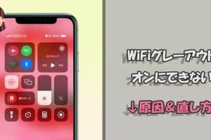 iphone wifi グレーアウト 直し 方を解説!簡単復活のステップ 9 iphone wifi グレーアウト 直し 方を解説!簡単復活のステップ