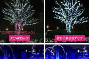 iPhoneで綺麗な写真を撮る方法!カメラの設定と撮影テクニック 5 iPhoneで綺麗な写真を撮る方法!カメラの設定と撮影テクニック