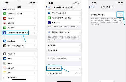 open developer mode on ios 16 beta