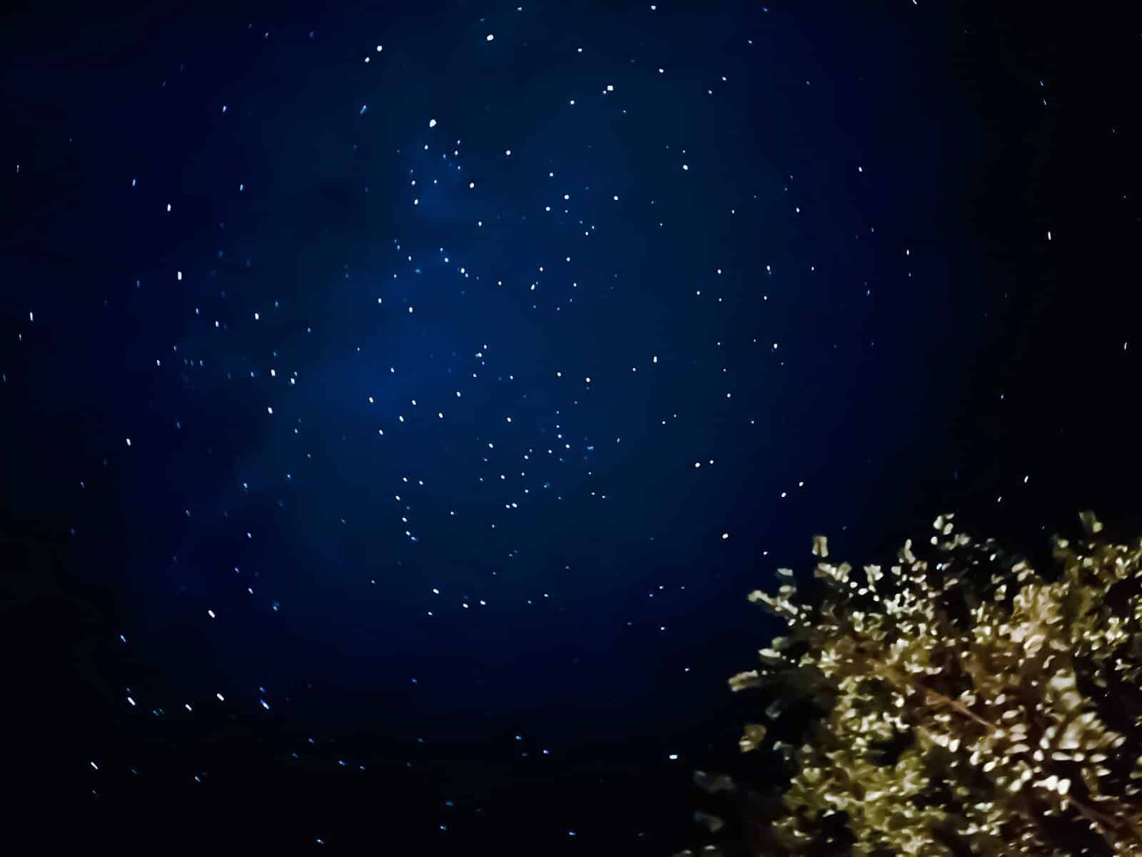 rd1920 IMG 0050vivid